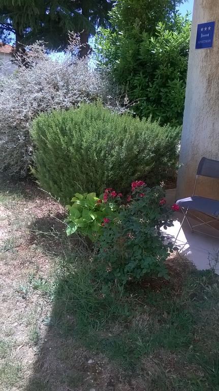 New Axel With Sea View 2025 Apartment Rovinj