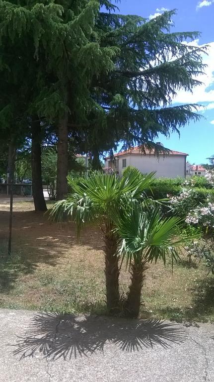 Apartment New Axel With Sea View 2025 *