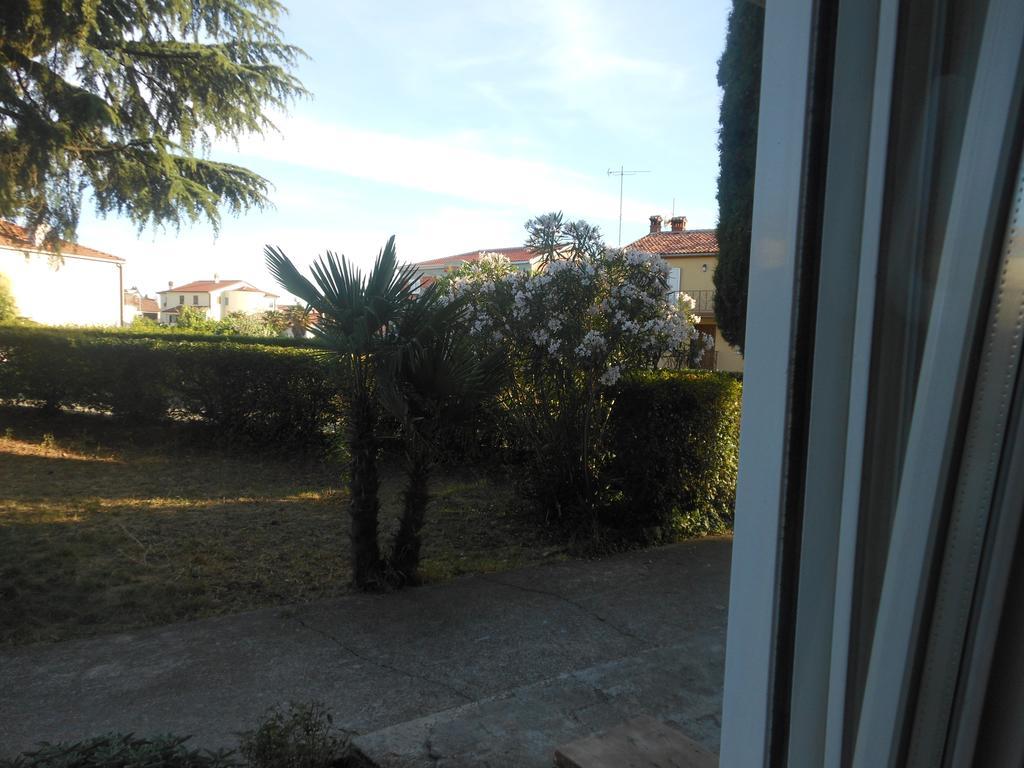 Apartment New Axel With Sea View 2025
